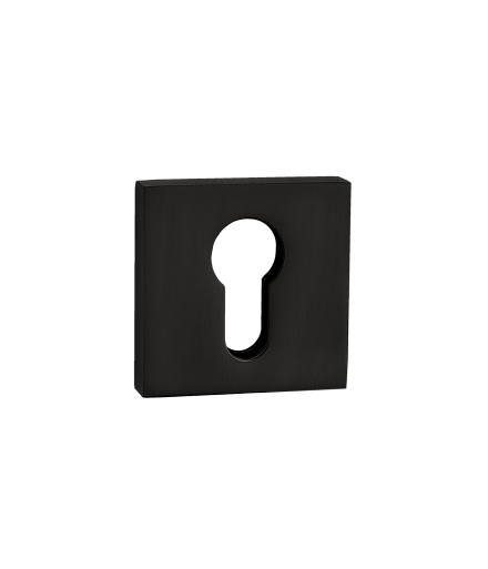 Накладки на ключевой цилиндр Накладка под цилиндр RENZ ET 03 B 